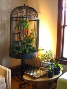 A Green Home: Birdcage Storage Image